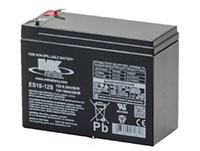 MK Powered 12V 10Ah Small Sealed VRLA AGM Battery (ES10-12S)